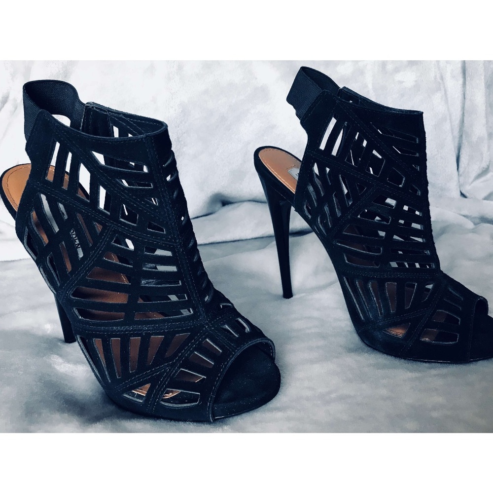 Steve Madden ankle booties